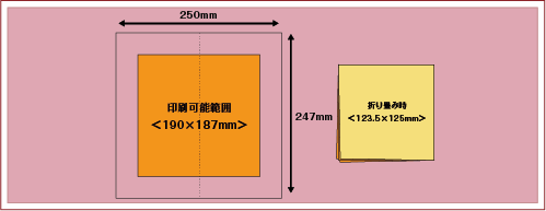 4折紙ナプキン＜全面印刷＞名入れ印刷面積